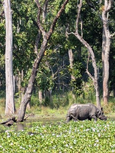 Himalayan Urgen Trek